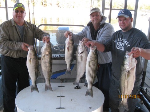 Nice Striped Bass